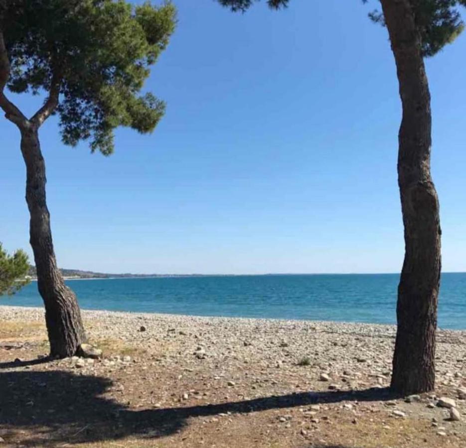 La Casa Al Mare Corallo Verde Монтеджордано Екстер'єр фото